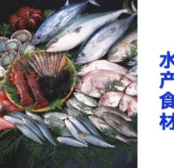 水产食材